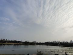 -武汉园博园(武汉自然博物馆)
