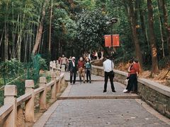 -灵岩山风景区