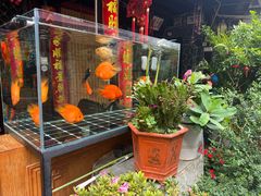 -老宅子私房菜馆(大理古城店)