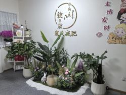 -寇氏减肥