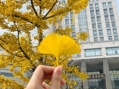 -江南大学(蠡湖校区)