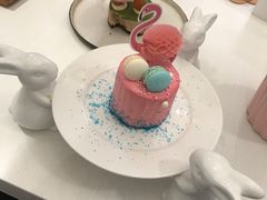 火烈鸟-随心小姐