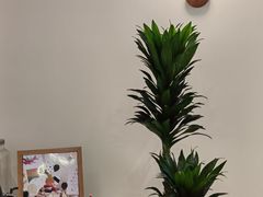 -EnergyCake蛋糕理想国