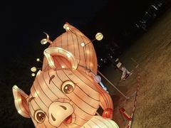 -文华公园(禅城区)