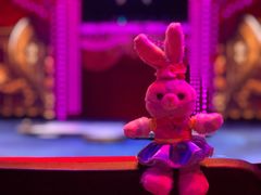 -珠海横琴长隆《卡卡虎奇遇记》