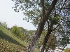 -南京财经大学(仙林校区)