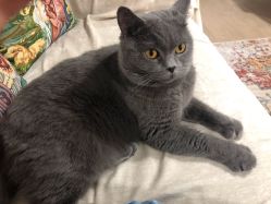 -一笔绣狂草美甲坊