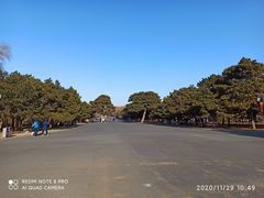 -北陵公园