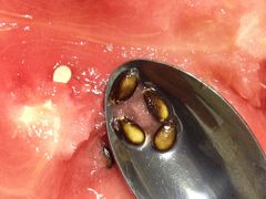 -江杨农产品批发市场