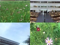 -广东财经大学(广州校区)