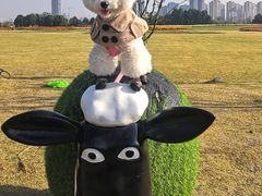 -映月湖中央公园