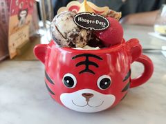 -哈根达斯(华星店)