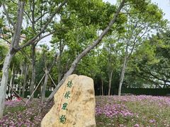 -华侨公园