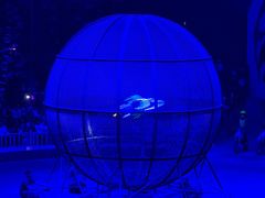 -俄罗斯国家大马戏团