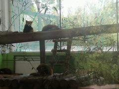 -石家庄市动物园