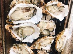 -吴淞炮台湾湿地森林公园烧烤区