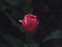 -长春公园(普阳街道)