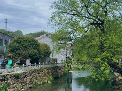 -尚田草莓姑娘白草莓采摘基地