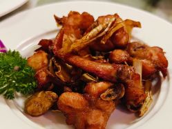 -臻康乃馨月子中心(集美店)