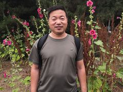 -永定河休闲森林公园