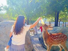 -水上乐园·欢乐世界