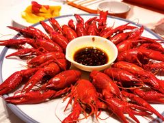 清水龙虾-杨氏青龙虾·羊蝎子(托乐嘉店)