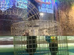 -成都浩海立方海洋公园