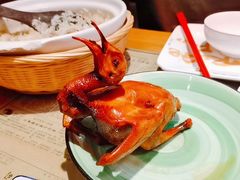 红烧乳鸽-大鸽饭(北京路店)