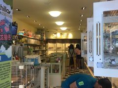 -龙猫仔乐园(惠福东路店)