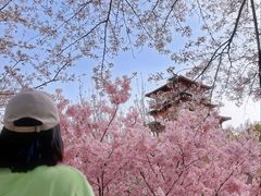 -古柏渡飞黄旅游区