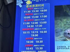 -合肥海洋世界
