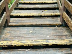 -水濂山森林公园