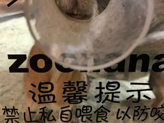 -zoonana室内动物园(东方福来德店)