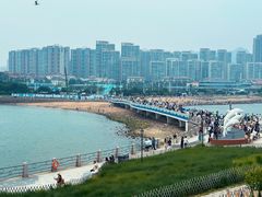 -小麦岛公园