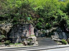 -铁山坪森林公园