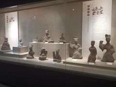 -乐山市博物馆