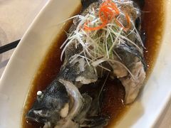 -碧丽宫大酒店(召稼楼店)