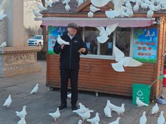 -天津妈祖文化园