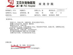 -艾贝尔宠物医院·24H转诊中心·肿瘤猫专科(江宁双龙店)