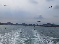 -海驴岛(荣成市)