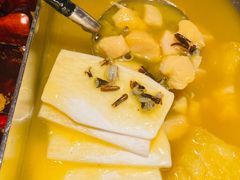 红颜花胶鸡锅-湊湊火锅·茶憩(世博大道店)