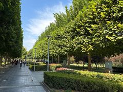 -郑州植物园