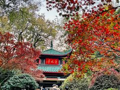 -岳麓山风景名胜区