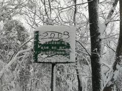 -紫金山山顶公园
