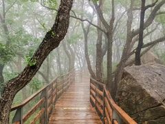 -黑龙潭风景区