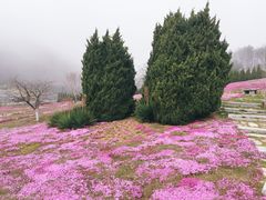 -棒棰岛宾馆景区