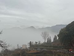 -杨家堂村