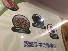 -巴厘岛黄金金兔咖啡工厂