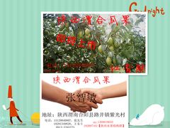 -胡家庙水果批发市场