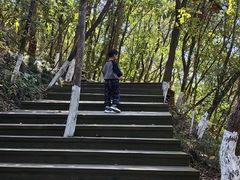 -天目湖山水园